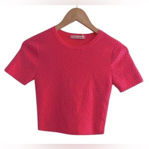 Alice + Olivia Ciara Crystal Stud Embellishment Sweater Top Cropped Size  XS/S